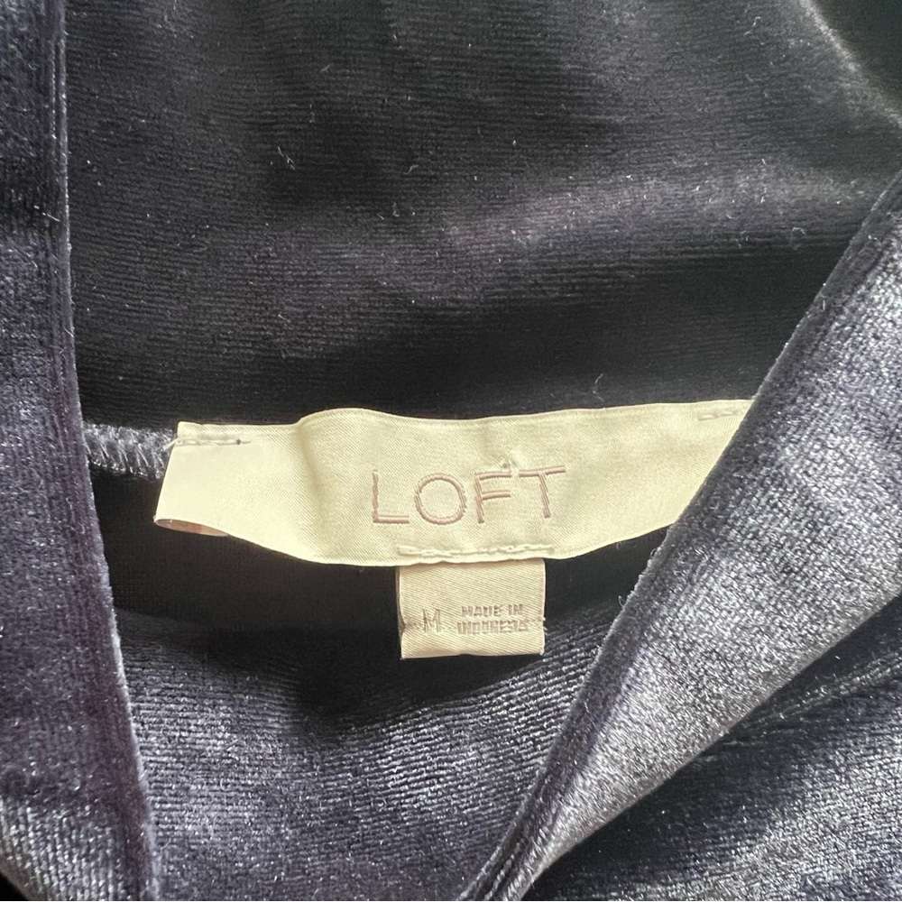 Loft Velvet Mock Turtleneck - Picture 12 of 15